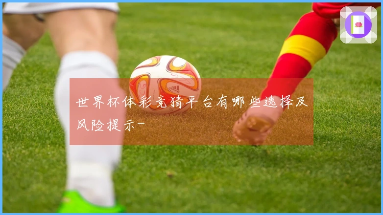 世界杯体彩竞猜平台有哪些选择及风险提示-