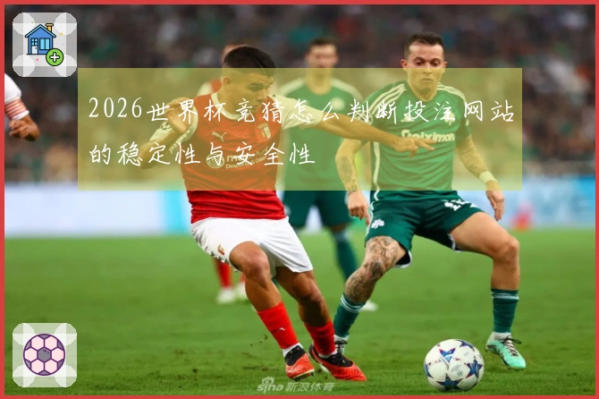2026世界杯竞猜怎么判断投注网站的稳定性与安全性