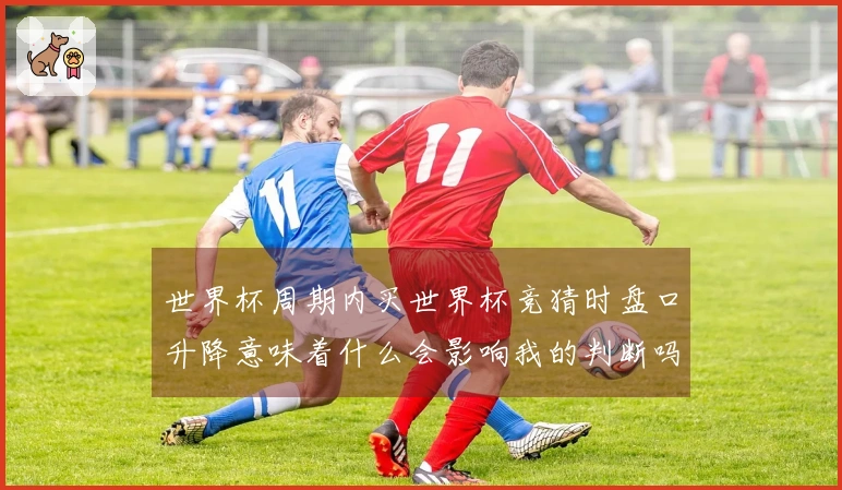 世界杯周期内买世界杯竞猜时盘口升降意味着什么会影响我的判断吗