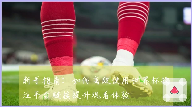 新手指南：如何高效使用世界杯投注平台链接提升观看体验