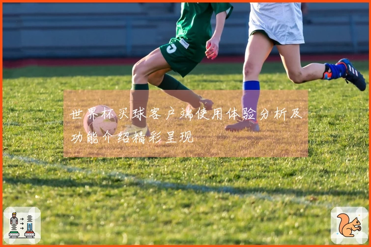 世界杯买球客户端使用体验分析及功能介绍精彩呈现