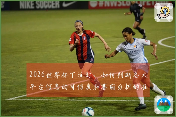 2026世界杯下注时，如何判断各大平台信息的可信度和赛前分析的准确性