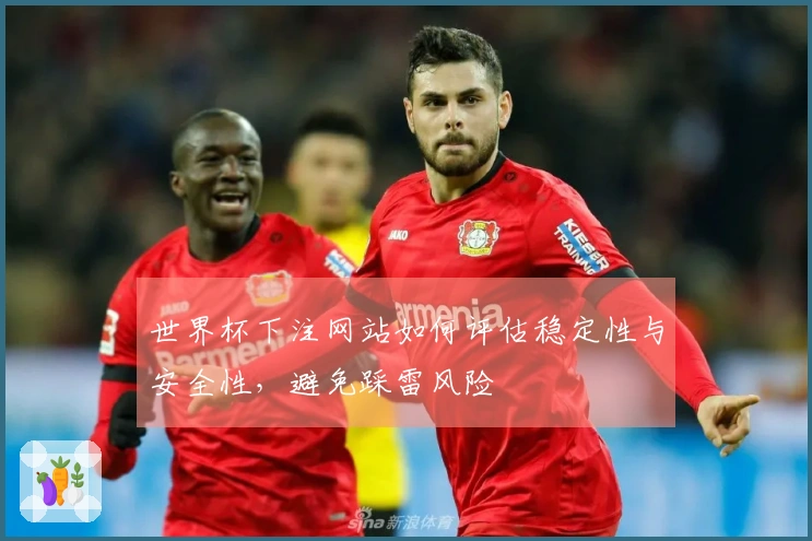 世界杯下注网站如何评估稳定性与安全性，避免踩雷风险