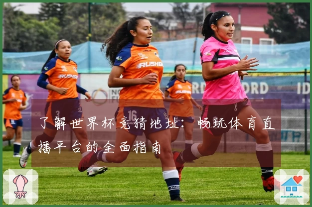 了解世界杯竞猜地址：畅玩体育直播平台的全面指南