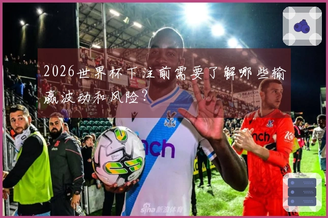 2026世界杯下注前需要了解哪些输赢波动和风险？