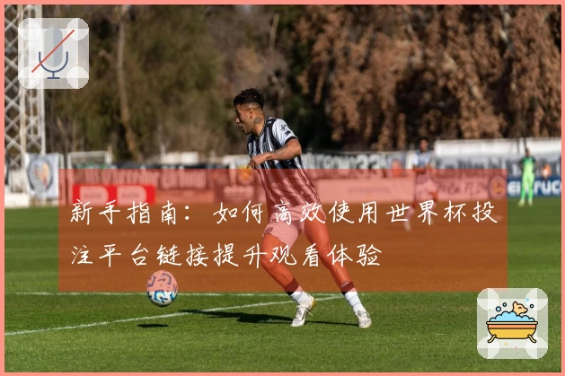 新手指南：如何高效使用世界杯投注平台链接提升观看体验