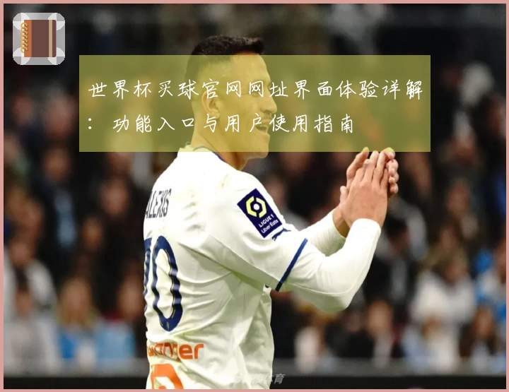 世界杯买球官网网址界面体验详解：功能入口与用户使用指南