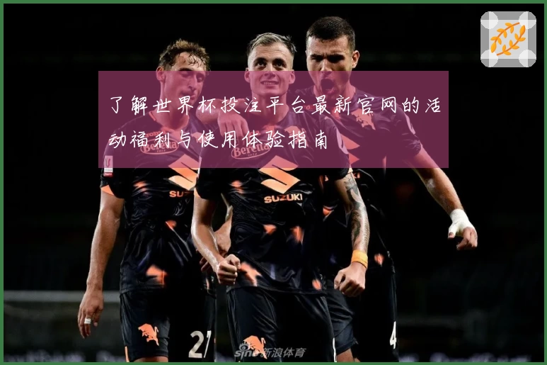 了解世界杯投注平台最新官网的活动福利与使用体验指南