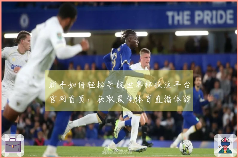 新手如何轻松导航世界杯投注平台官网首页，获取最佳体育直播体验